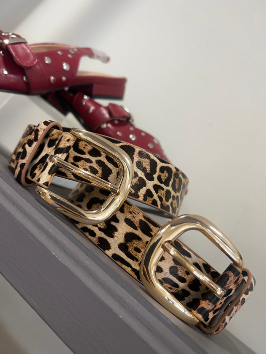 Eden Belt (uk 8-12)