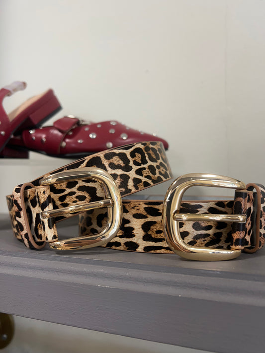 Eden Belt (uk 12-16)