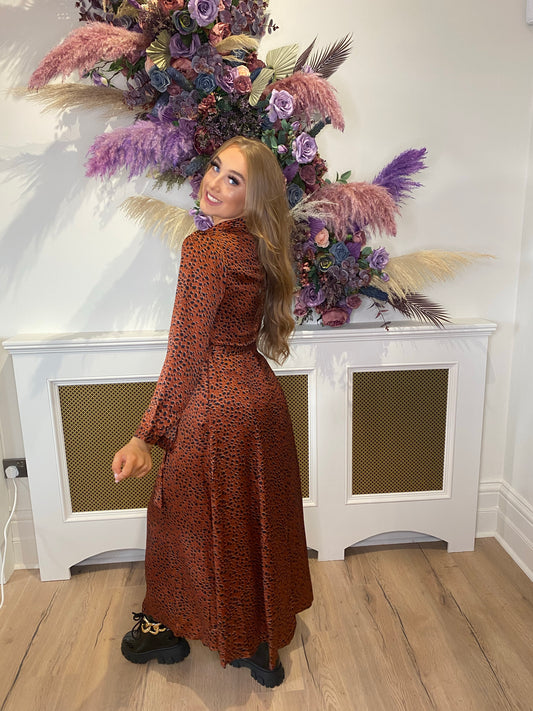 'Belle' Long Animal Print Shirt Dress